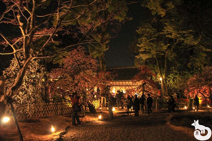 北野天満宮 梅のライトアップ 庭園