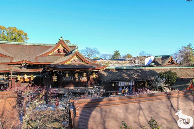北野天満宮の梅鑑賞|境内の風景