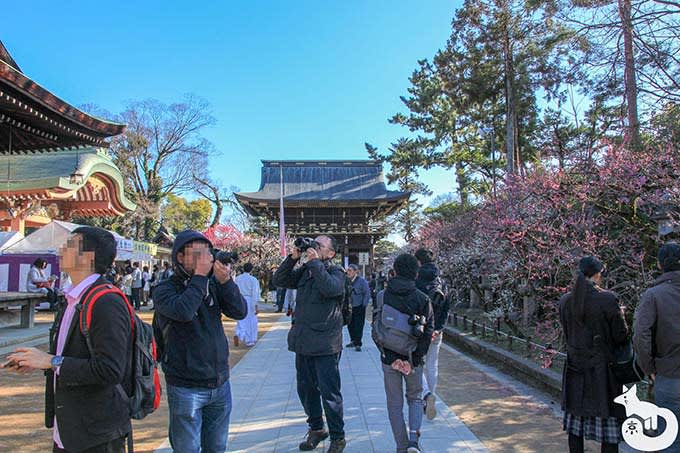 北野天満宮の梅鑑賞|宝物殿付近の通路