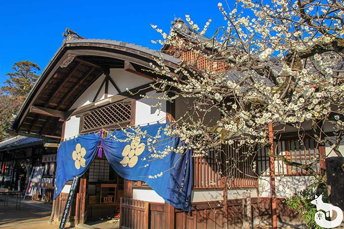 北野天満宮の梅鑑賞|宝物殿付近にある梅