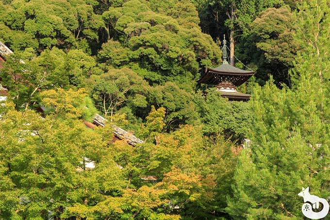 永観堂 多宝塔