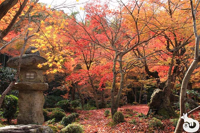圓光寺 十牛之庭