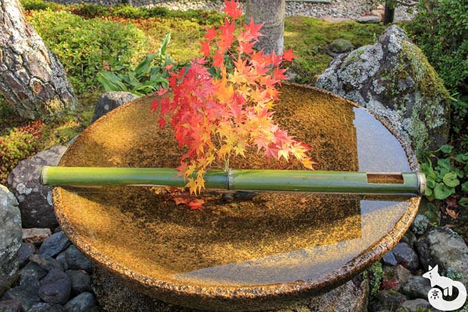 圓光寺 水琴窟
