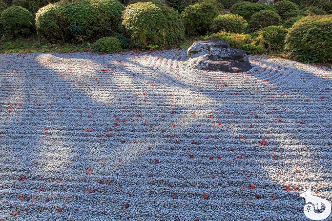 金福寺 枯山水庭園