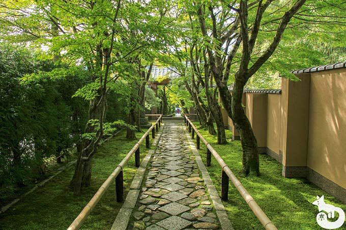 光悦寺 参道