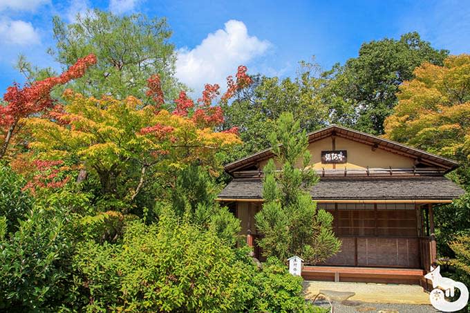 光悦寺 本阿弥庵