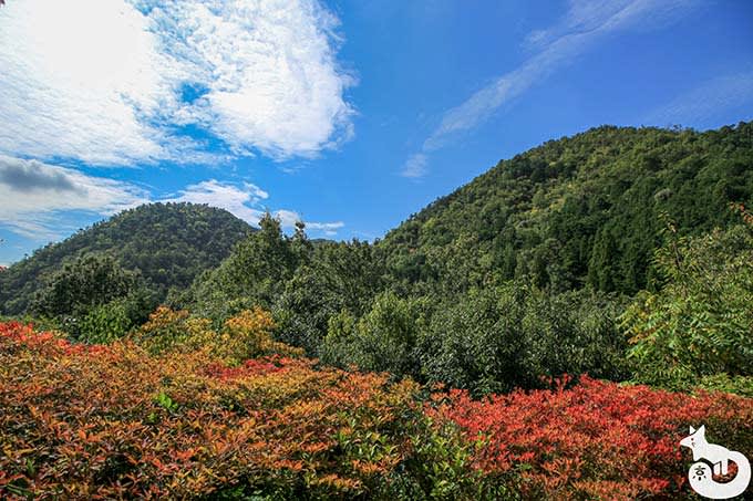 光悦寺 鷹峰三山