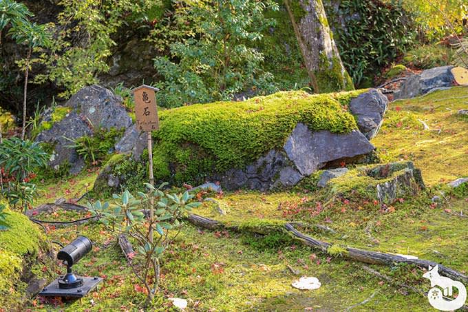 宝厳院 亀石