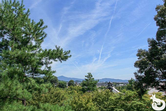 天龍寺 望京の丘