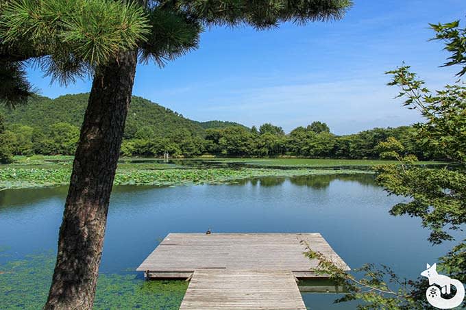 大覚寺 大沢池
