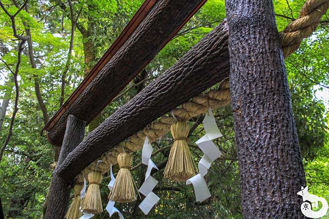 野宮神社 黒木鳥居