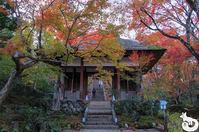 常寂光寺 仁王門