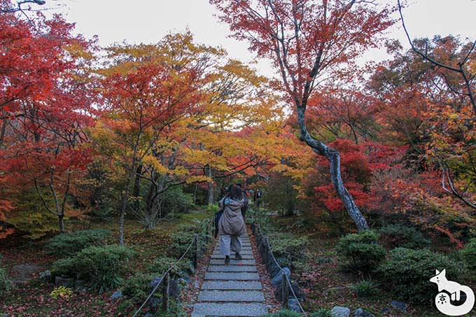 宝筐院 庭園（秋）