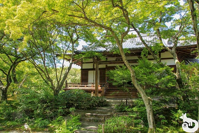 宝筐院 本堂