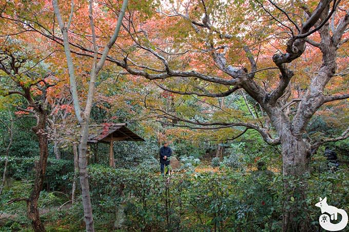 厭離庵 庭園