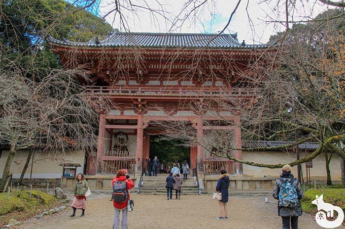 醍醐寺 仁王門
