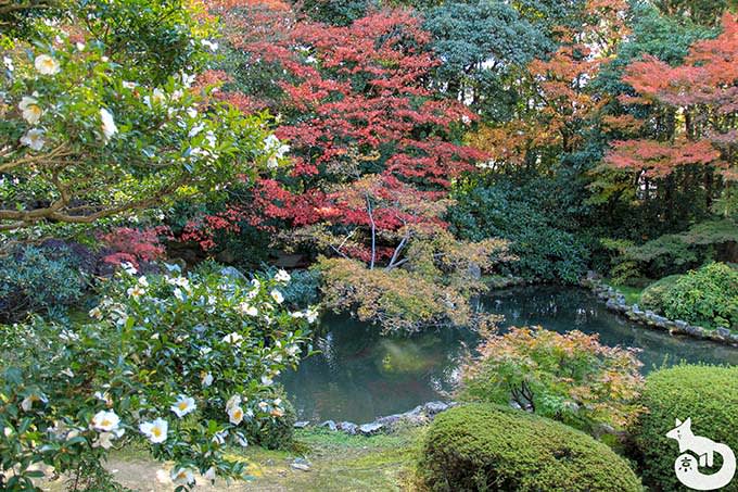 隨心院 庭園