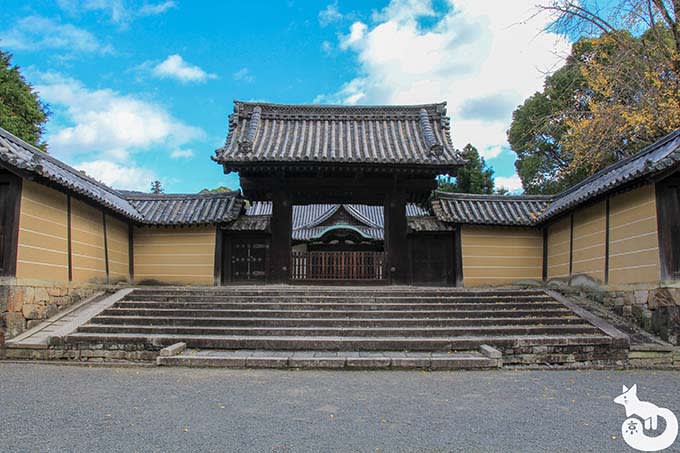 隨心院 薬医門