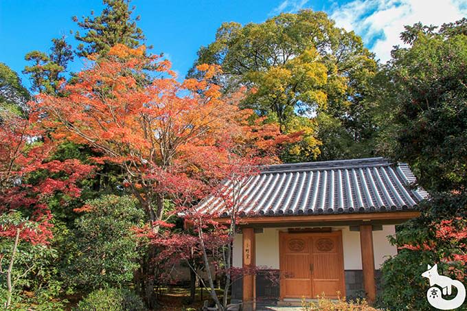 隨心院 小町堂