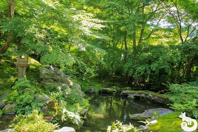 瑠璃光院 臥竜の庭