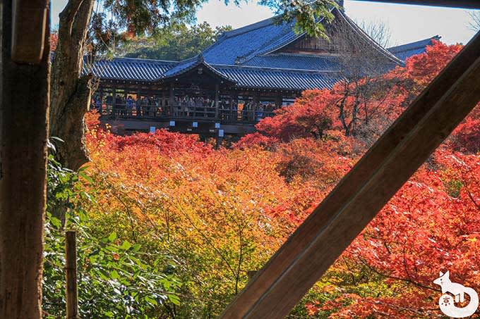 東福寺 通天橋