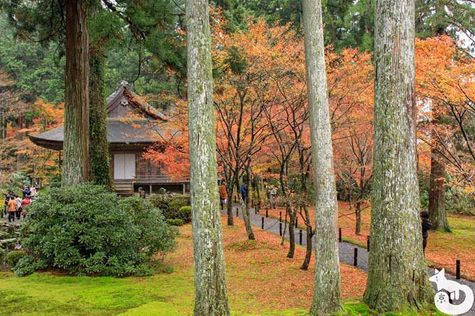 三千院 有清園