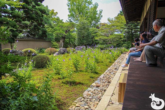 天得院 枯山水庭園