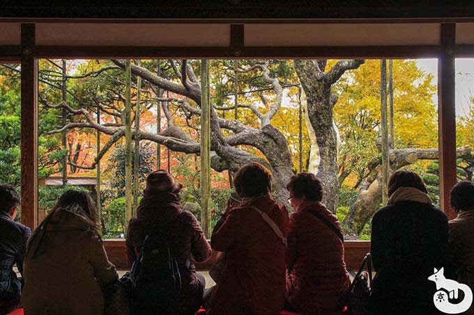 宝泉院 額縁庭園