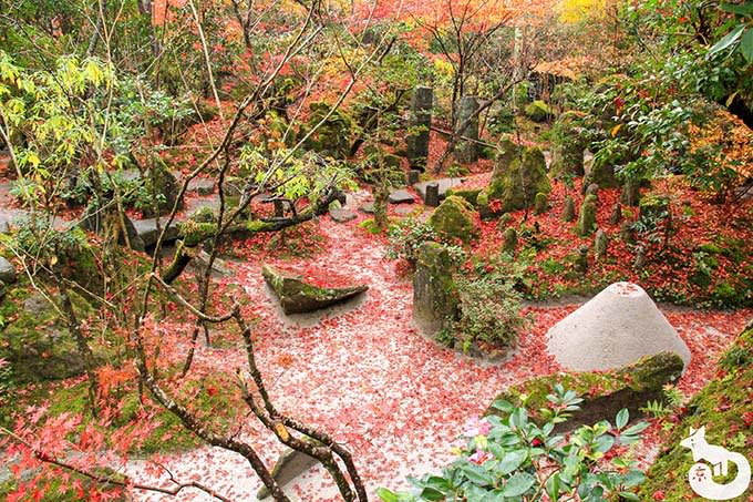 宝泉院 宝楽園