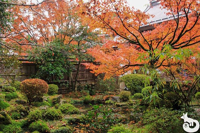 宝泉院 鶴亀庭園
