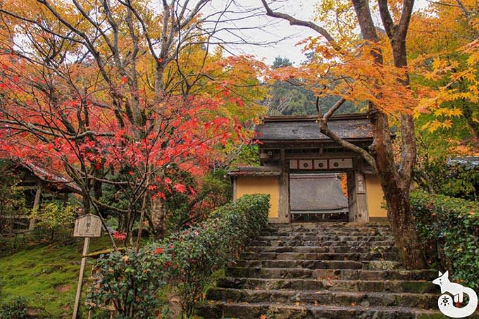 寂光院 山門