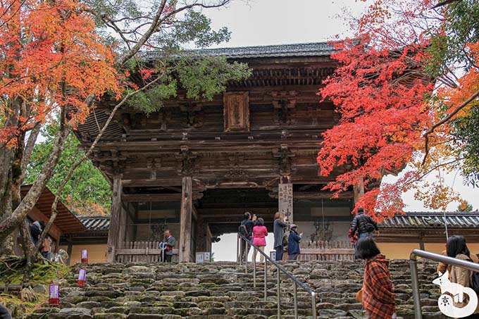 神護寺 楼門