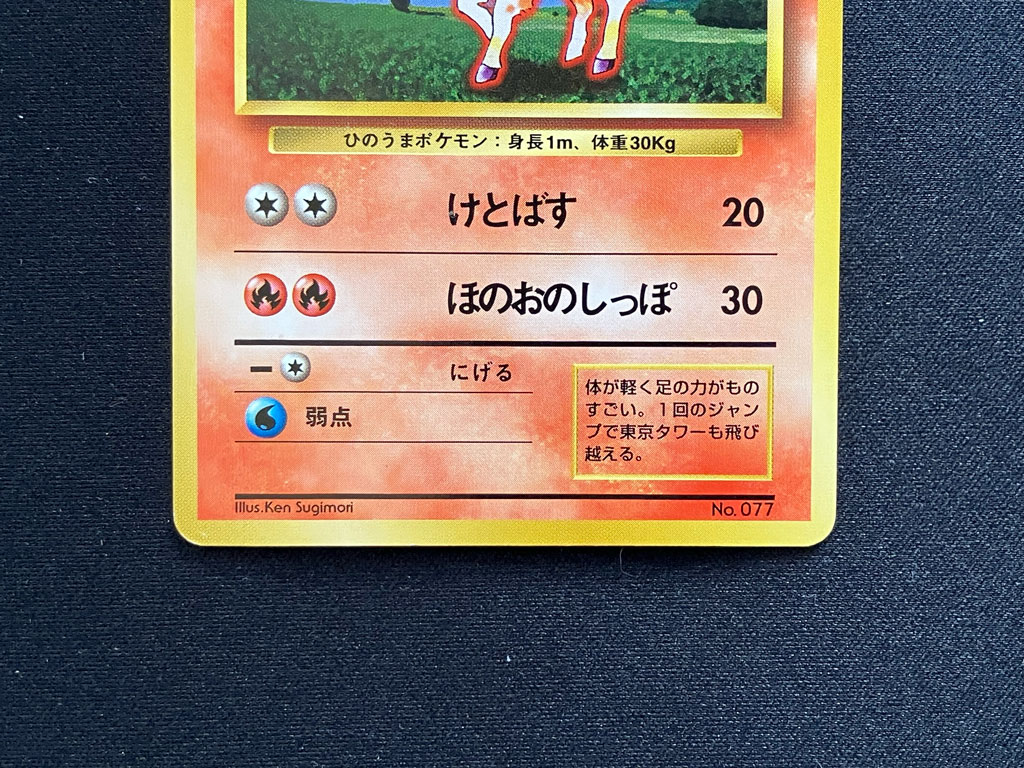 ポニータの表面下部