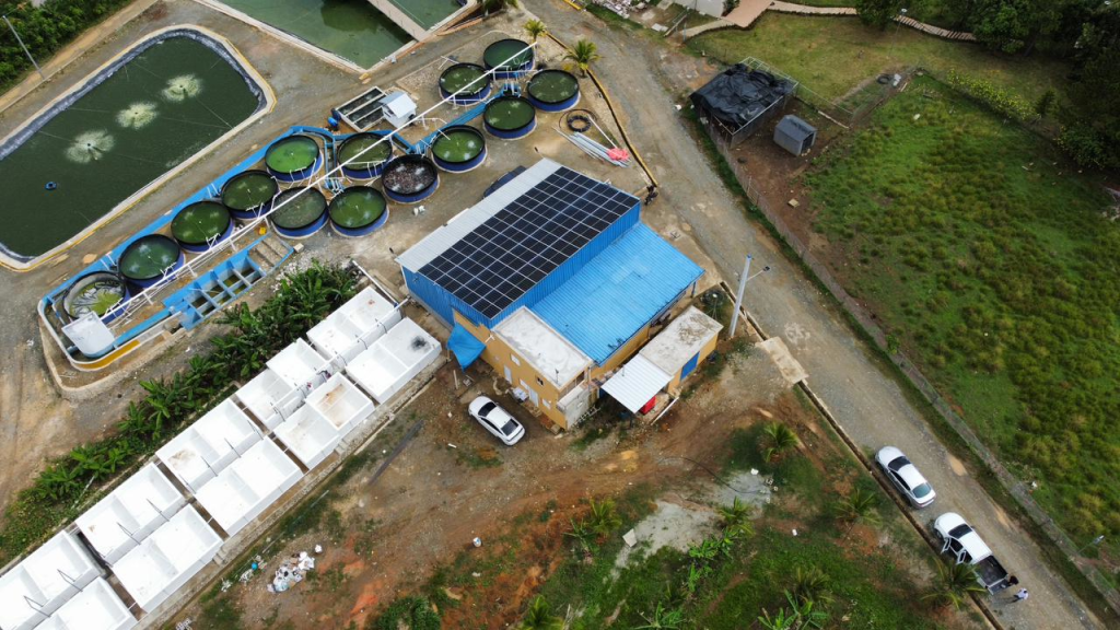 Instalación de Paneles Solares para Empresa de Acuicultura