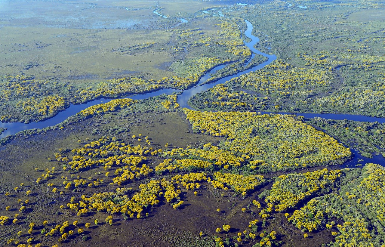 Pantanal https://res.cloudinary.com/duza9jnrs/images/w_640,h_480,c_scale/f_auto,q_auto/v1738235814/Pantanal/Pantanal.jpg?_i=AA