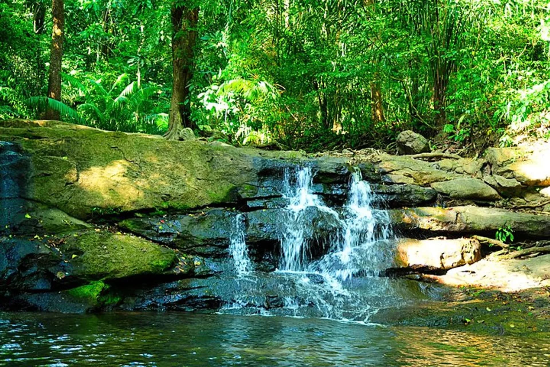 Soberanía National Park https://res.cloudinary.com/duza9jnrs/images/w_640,h_480,c_scale/f_auto,q_auto/v1738236001/Soberanía-National-Park/Soberanía-National-Park.webp?_i=AA