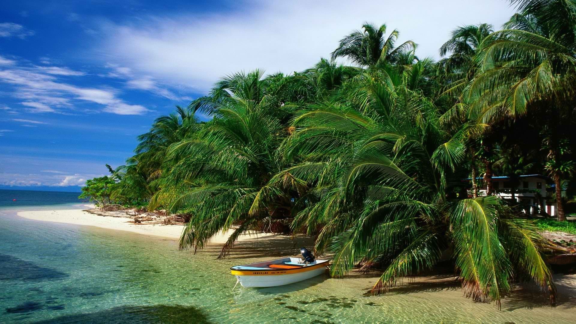 Bocas del Toro https://res.cloudinary.com/duza9jnrs/images/w_640,h_480,c_scale/f_auto,q_auto/v1738236022/Bocas-del-Toro/Bocas-del-Toro.jpg?_i=AA