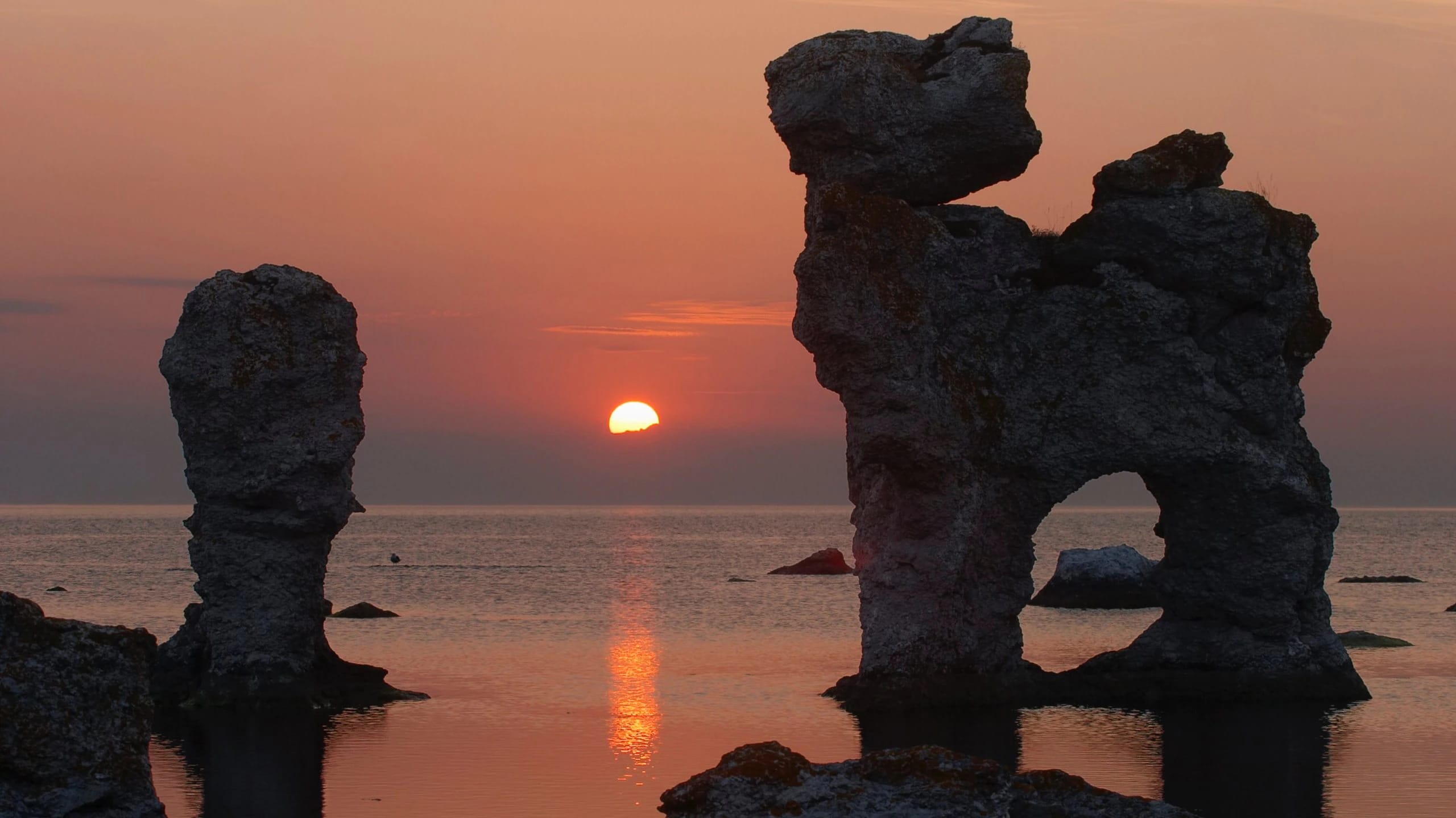 Visby https://res.cloudinary.com/duza9jnrs/images/w_640,h_480,c_scale/f_auto,q_auto/v1738236979/Visby/Visby.webp?_i=AA