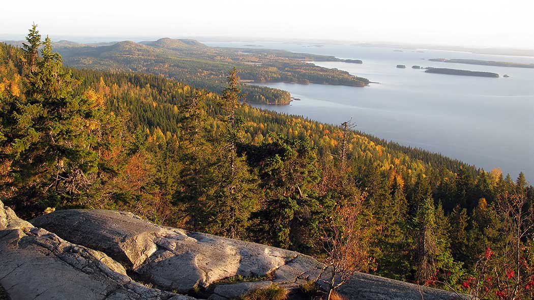 KoliNationalPark https://res.cloudinary.com/duza9jnrs/images/w_640,h_480,c_scale/f_auto,q_auto/v1738237585/KoliNationalPark/KoliNationalPark.jpg?_i=AA