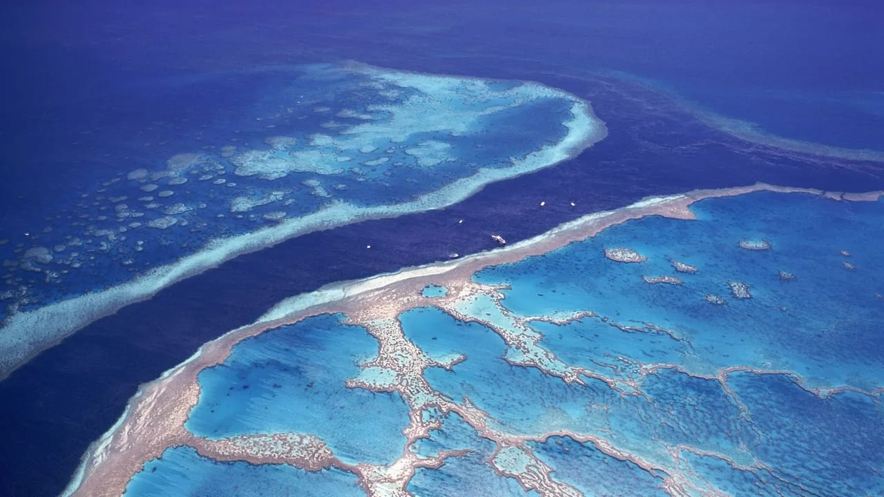 Great Barrier Reef https://res.cloudinary.com/duza9jnrs/images/w_640,h_480,c_scale/f_auto,q_auto/v1738239112/Great-Barrier-Reef/Great-Barrier-Reef.webp?_i=AA