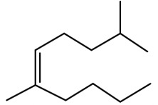 Option B