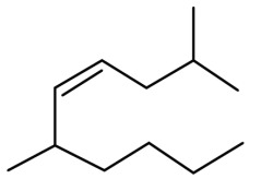 Option C
