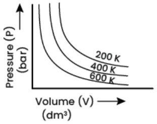 Option C