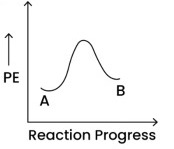 Option C