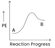 Option B