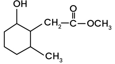 Option B