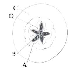 Question illustration