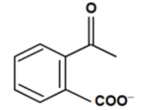 Option C