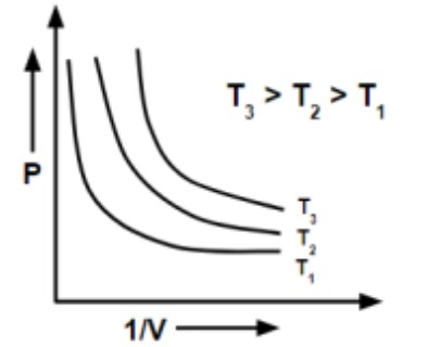 Option C