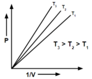 Option B